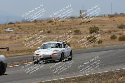 media/May-03-2025-Lucky Dog Racing (Sat) [[206de64b9d]]/Turn 6 (150pm-230pm)/